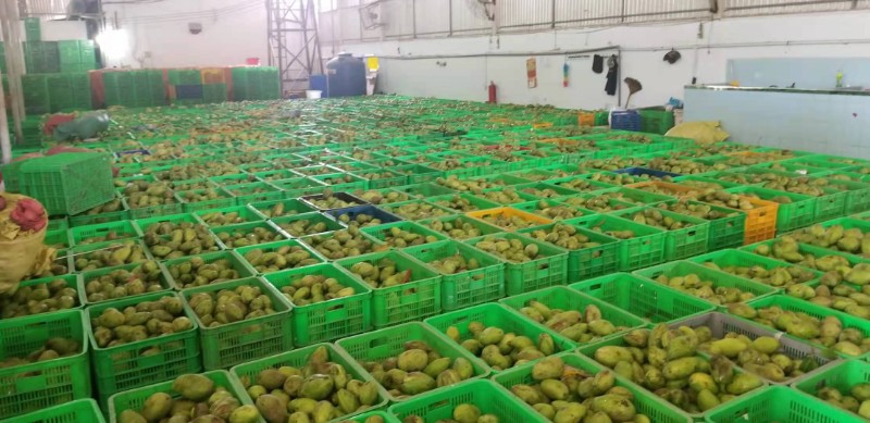 益陽瑪山產(chǎn)業(yè)機械有限公司，湖南益陽螺旋風(fēng)管廠家，熱風(fēng)食品烤房